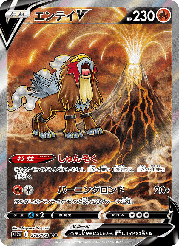 Entei V – Special Art Rare, 213/172